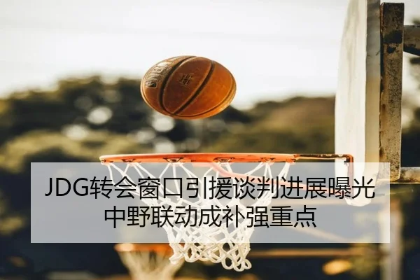 JDG转会窗口引援谈判进展曝光中野联动成补强重点
